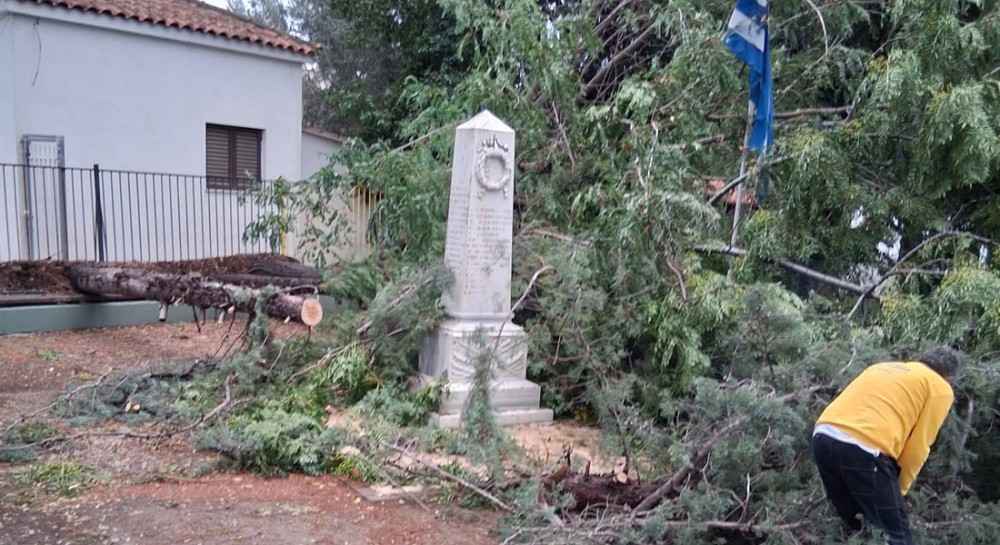 ΔΗΜΟΤΙΚΟ ΣΧΟΛΕΙΟ ΜΥΤΙΚΑ: Έπεσαν δέντρα στο προαύλιο