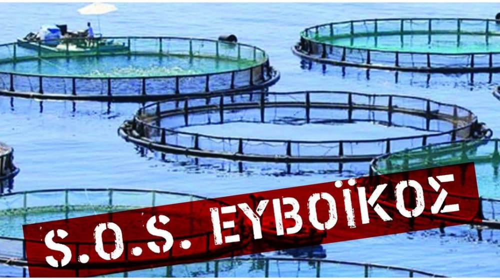 Νέα δράση ενημέρωσης για τον Ευβοϊκό κόλπο στη Χαλκίδα