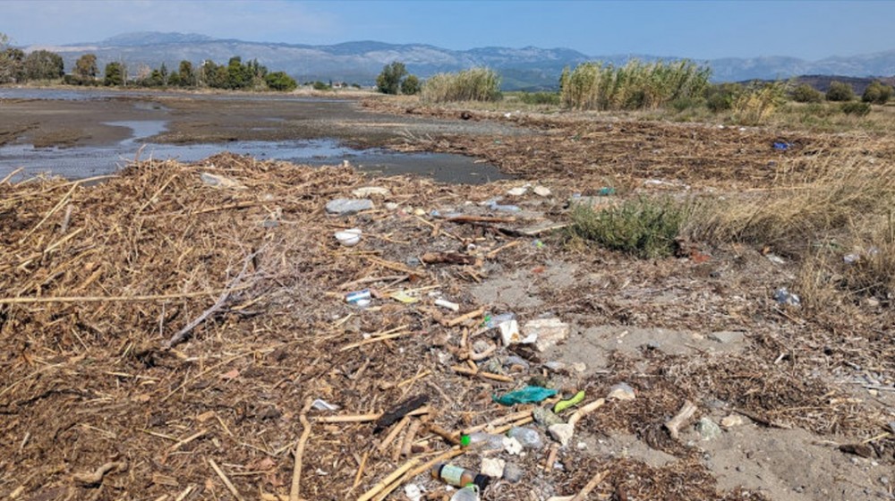 ΚΩΛΟΒΡΕΧΤΗΣ ΨΑΧΝΩΝ: Εθελοντές μάζεψαν   5700 λίτρα απορριμμάτων από τον υγροβιότοπο