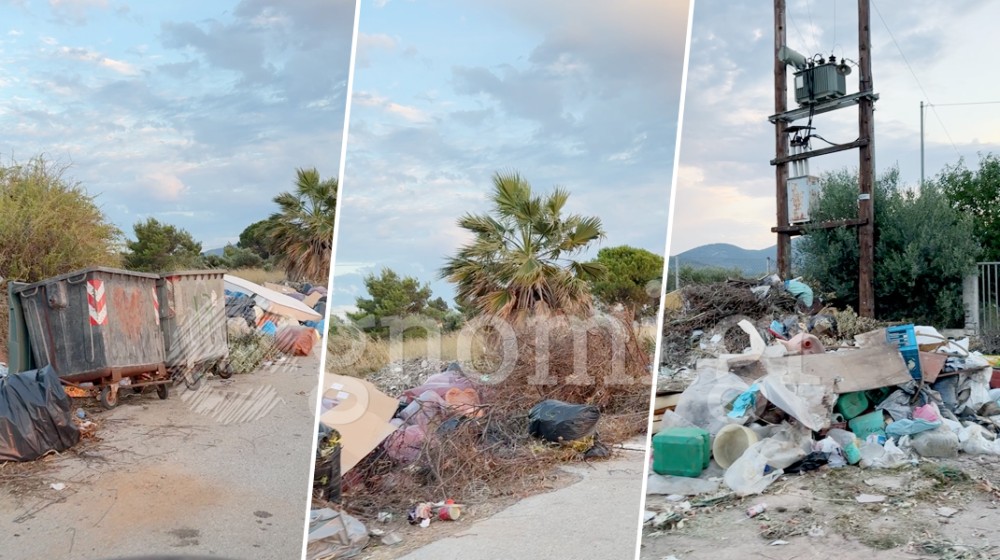 ΧΑΛΚΙΔΑ: Σωροί από μπάζα, σκουπίδια και κλαδέματα στο παραλιακό μέτωπο της Ανθηδόνας (VIDEO)