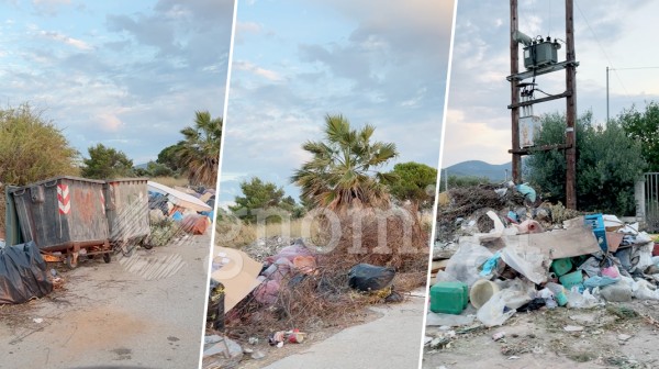ΧΑΛΚΙΔΑ: Σωροί από μπάζα, σκουπίδια και κλαδέματα στο παραλιακό μέτωπο της Ανθηδόνας (VIDEO)