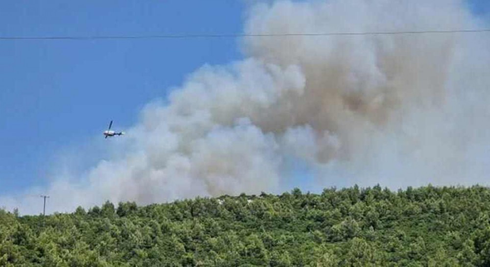 Πύρινο μέτωπο στο Μαρκόπουλο Ωρωπού - Επιχειρούν 5 αεροσκάφη και 4 ελικόπτερα μαζί με επίγειες δυνάμεις
