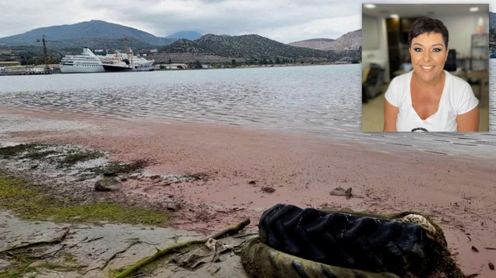 Αγωγή από το ΠΑΚΟΕ κατά της αντιδημάρχου Μαρίας Βάθη για το θέμα της ρύπανσης στην περιοχή της Αυλίδας