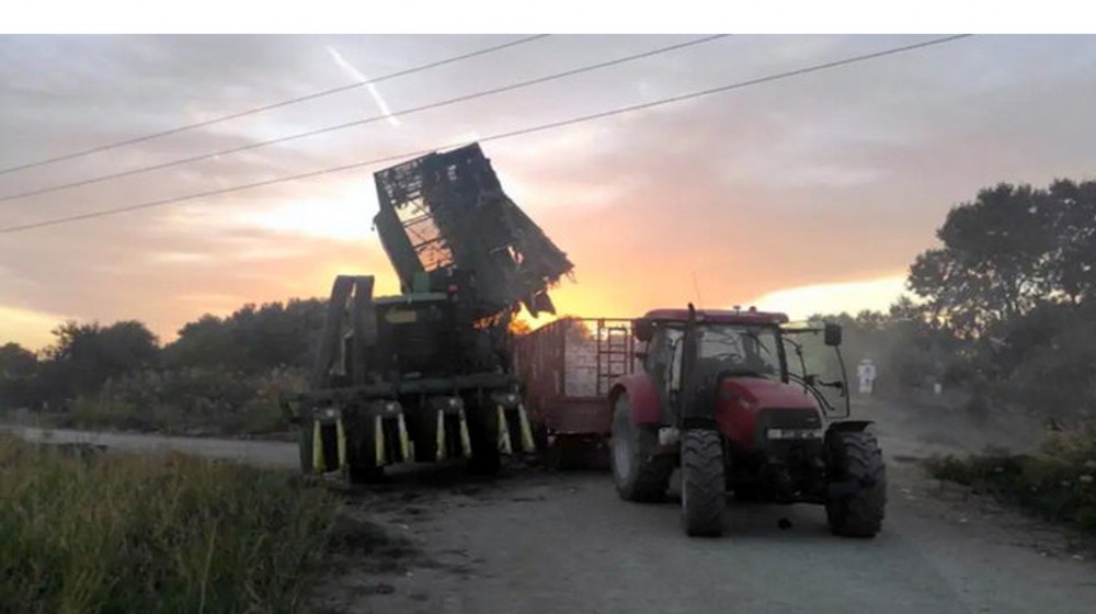 Νεκρός 53χρονος από ηλεκτροπληξία – Σε κρίσιμη κατάσταση 17χρονος που πήγε να βοηθήσει