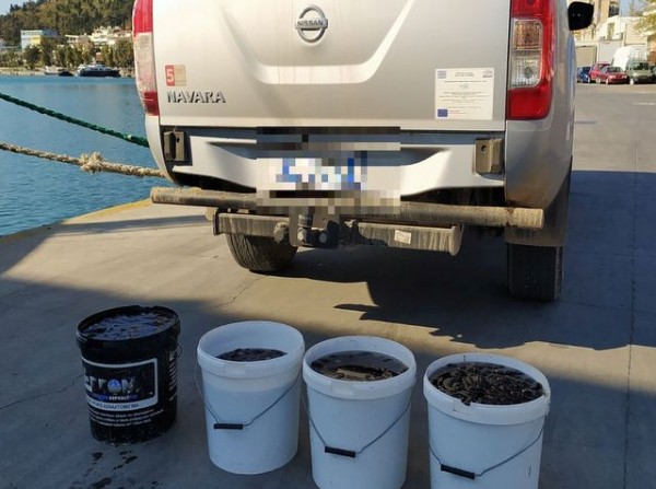 ΚΟΥΡΕΝΤΙ: Το Λιμεναρχείο κατάσχεσε 1100 κομμάτια αγγούρια της θάλασσας (φωτό)