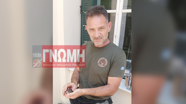 ΣΤΕΛΙΟΣ ΤΟΤΟΣ: Έσωσε τη ζωή μιας σταχτάρας
