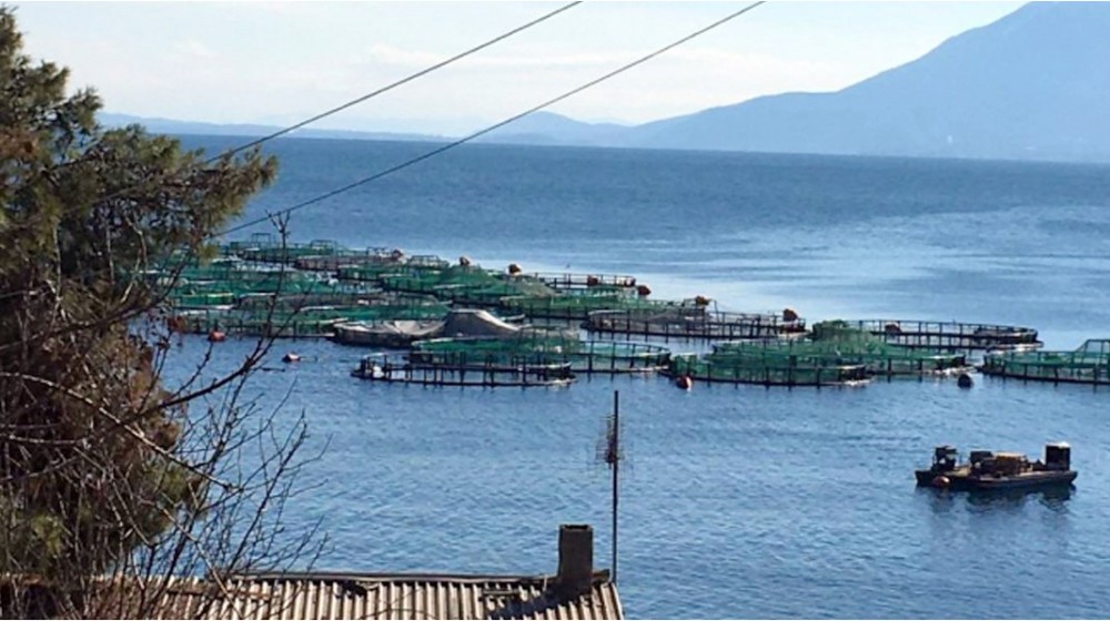 ΛΑΡΥΜΝΑ: Έχασε την ζωή του 50χρονος δύτης σε μονάδα ιχθυοκαλλιέργειας