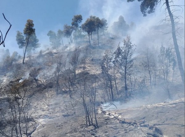 Φωτιά σε γεωργική έκταση στη Θίσβη Βοιωτίας την Κυριακή