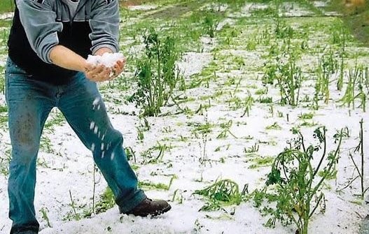 Να αποζημιωθούν οι αγρότες της Εύβοιας, που τους έπληξε το χαλάζι