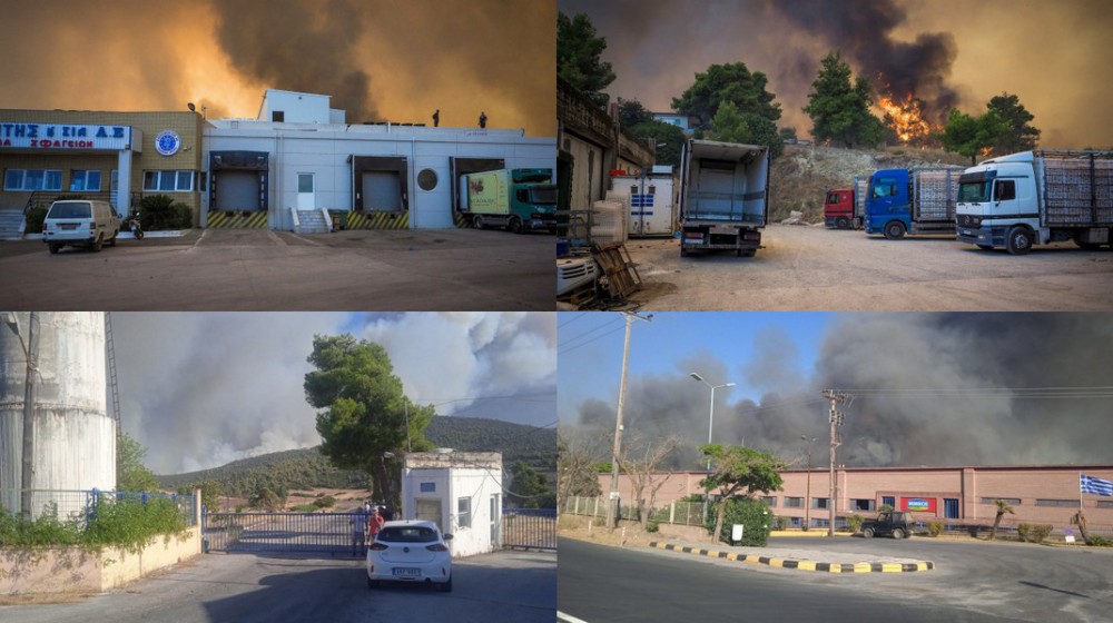 ΕΥΒΟΙΑ - ΦΩΤΙΑ: Άρχισε η υποβολή αιτήσεων για αποζημίωση επιχειρήσεων και γεωργικών εκμεταλλεύεσεων