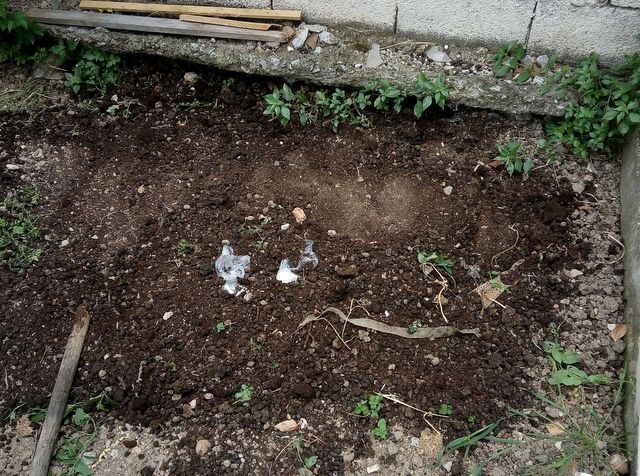 Έθαψαν τα ναρκωτικά στον κήπο του σπιτιού τους