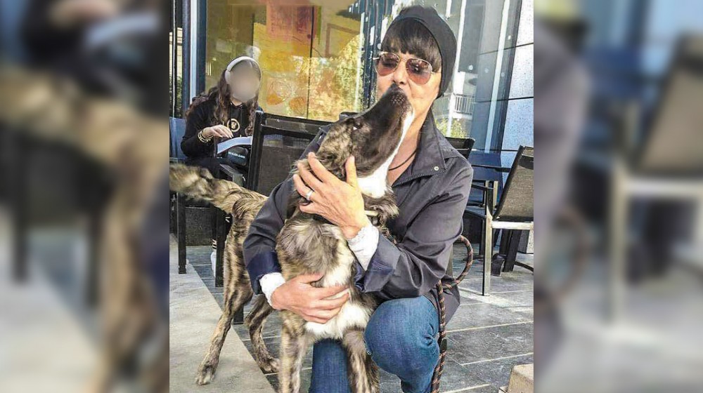 ΕΡΕΤΡΙΑ-ΚΑΤΑΓΓΕΛΙΑ: Αφήνουν αβοήθητα τα αδέσποτα