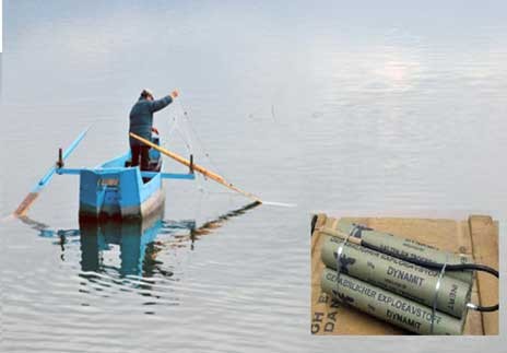 ΒΟΡΕΙΟΣ ΕΥΒΟΪΚΟΣ: Συνελήφθησαν ασυνείδητοι ερασιτέχνες που ψάρευαν με δυναμίτη