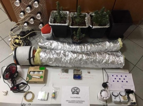 ΧΑΛΚΙΔΑ: Πρωτότυπη καλλιέργεια χασίς μέσα στην ντουλάπα του σπιτιού