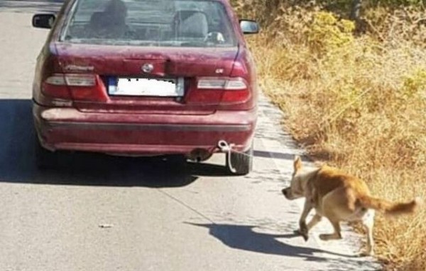 Συνελήφθη ο 73χρονος που είχε δέσει τον σκύλο του σε αυτοκίνητο και τον έσερνε