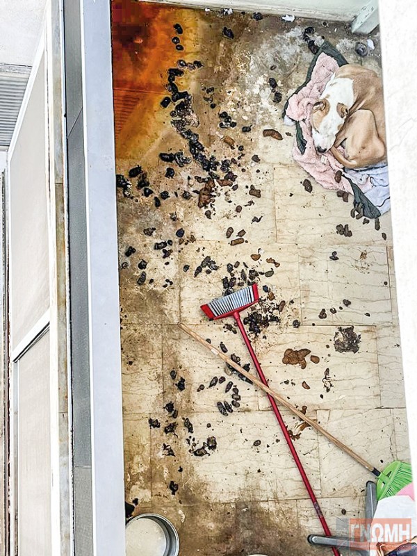 ΧΑΛΚΙΔΑ: Βρέφος μεγαλώνει μέσα στη βρόμα