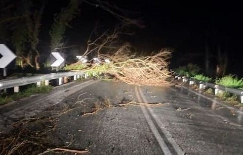 KΑΚΟΚΑΙΡΙΑ GAIA: Προβλήματα και στην Βόρεια Εύβοια από πτώσεις δένδρων