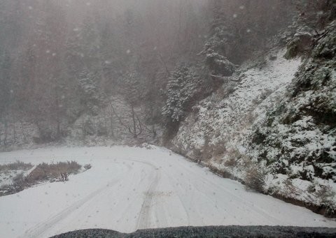 Τα χιόνια έφτασαν στην Εύβοια (φωτό)