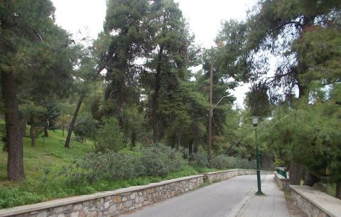 Να γιατί βυθίστηκε στο σκοτάδι το αλσύλλιο της Κανήθου