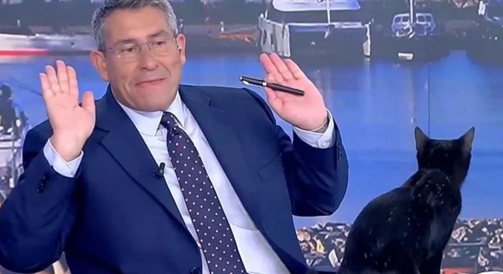 Μαύρη γάτα μπούκαρε στο πλατό του ΣΚΑΪ - Χαμός στον αέρα (Video)