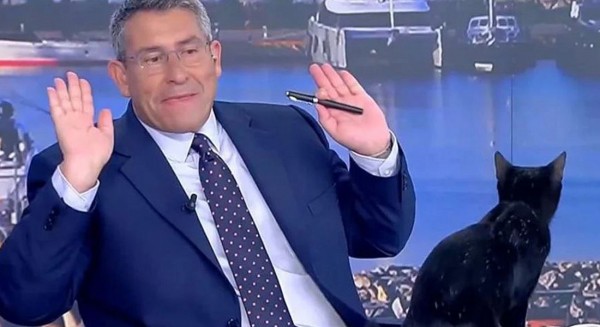 Μαύρη γάτα μπούκαρε στο πλατό του ΣΚΑΪ - Χαμός στον αέρα (Video)