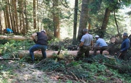Οι εργαζόμενοι του ΟΑΕΔ στο Δασαρχείο Αλιβερίου ζητούν την παράταση της απασχόλησης