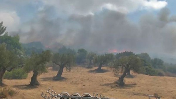 ΚΑΡΥΣΤΟΣ: Υπό έλεγχο η φωτιά στον Πλατανιστό