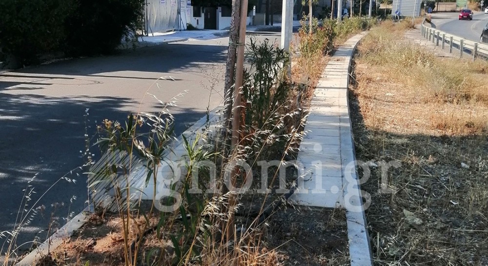 ΧΑΛΚΙΔΑ: Ξεράθηκαν οι πικροδάφνες στη στροφή Τσεκούρα