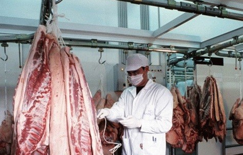 ΝΟΤΙΑ ΚΑΡΥΣΤΙΑ: Προσελήφθη εποχικός κτηνίατρος