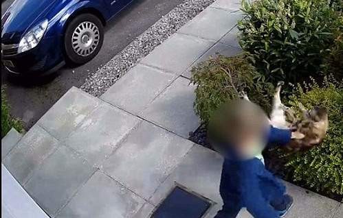 Πεντάχρονος βασανίζει γάτα και αυτή τον εκδικείται (VIDEO)