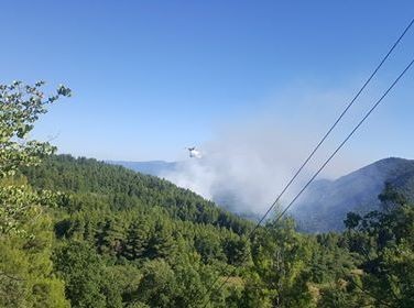 ΑΜΕΛΑΝΤΕΣ ΒΟΡΕΙΑ ΕΥΒΟΙΑ: Μεγάλη πυρκαγιά καίει δάσος