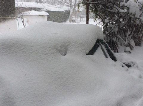 Ψάχνουν να βρουν τα αυτοκίνητά τους από το χιόνι στο Κοντοδεσπότι!