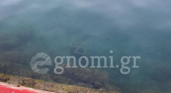 Ασυνείδητοι έκαναν σκουπιδότοπο τον Ευβοϊκό