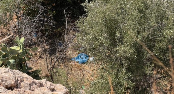 Ανθρώπινα οστά βρέθηκαν σε σακούλα δίπλα σε γήπεδο της Κυψέλης