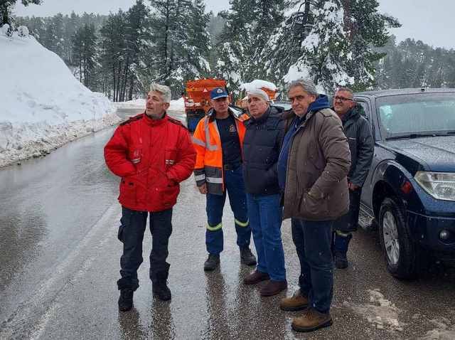 ΕΥΒΟΙΑ-ΚΑΚΟΚΑΙΡΙΑ: Επιχείρηση καθαρισμού των γραμμών ηλεκτροδότησης