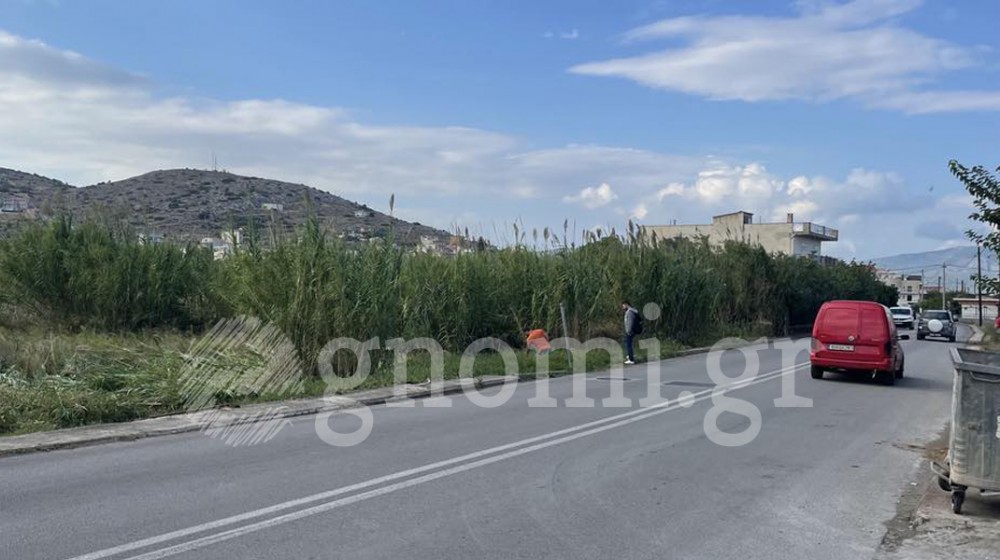 ΧΑΛΚΙΔΑ: Βρέθηκε πτώμα στην Αγία Ελεούσα