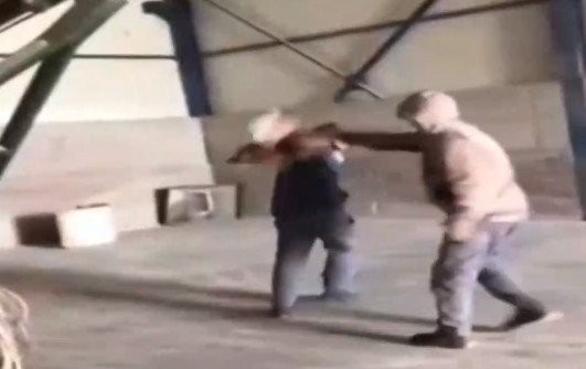 ΒΟΡΕΙΑ ΕΥΒΟΙΑ: Σπάνε πλάκα βασανίζοντας πτηνό (VIDEO)