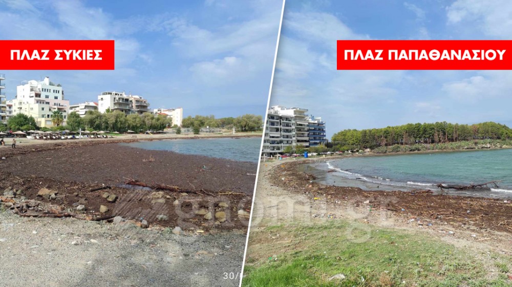ΧΑΛΚΙΔΑ: Γέμισαν φερτά υλικά οι πλαζ της πόλης (PHOTOS)