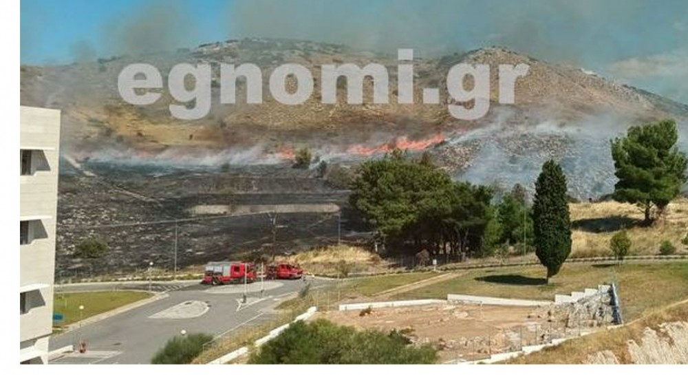 ΧΑΛΚΙΔΑ: Άρπαξε φωτιά πίσω από το Νοσοκομείο Χαλκίδας το απόγευμα της Τρίτης