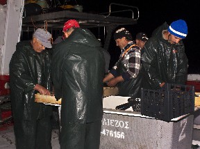 Αιγύπτιοι: Οι πιο ήσυχοι μετανάστες