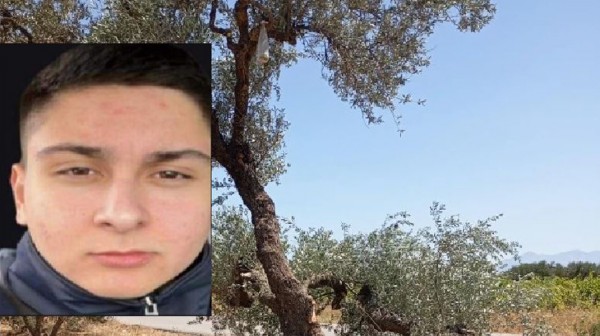 Μιχάλης Δουλγεράκης: 20χρονος καρφώθηκε σε ελιά με το ΙΧ του