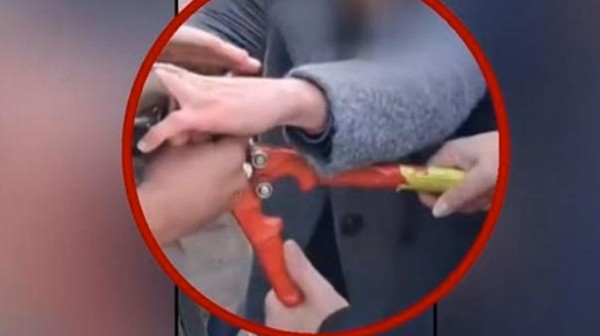 Καθηγητής έπιασε με κόφτη τα δάχτυλα μαθητή σε υπό κατάληψη ΕΠΑΛ (VIDEO)