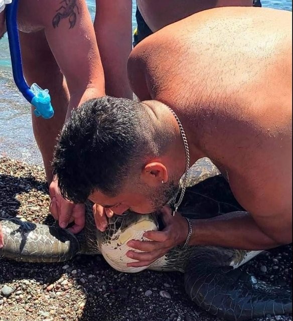 Ρόδος: Συγκινητική διάσωση εγκλωβισμένης χελώνας - Δύτης της έκανε τεχνητή αναπνοή