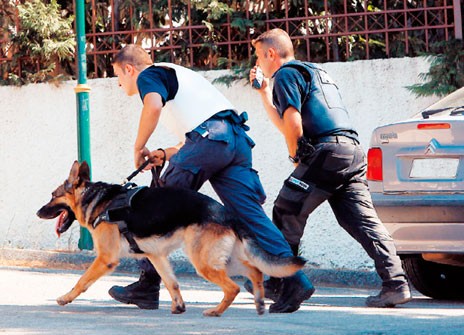 Ιστιαία: 25χρονος με όπλο και ναρκωτικά