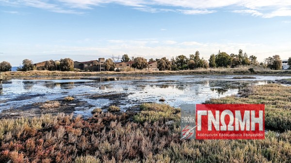 Μέτρα για την προστασία του περιβάλλοντος στην Αυλίδα ζητούν φορείς και βουλευτές του ΚΚΕ