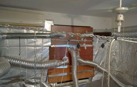 Έστησαν εργαστήριο καλλιέργειας χασίς σε σπίτι στο Αλιβέρι