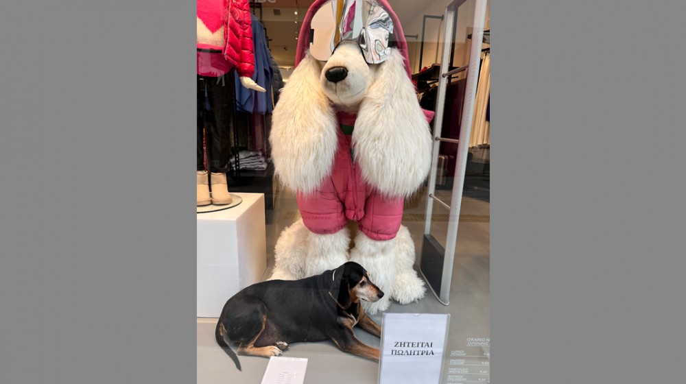 Καμία ...κάψα για Black Friday, όταν έχεις τον ...φίλο μαζί!