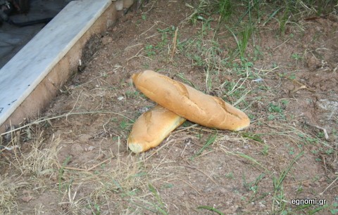 Άλλοι δεν έχουν να φάνε και άλλοι το πετάνε