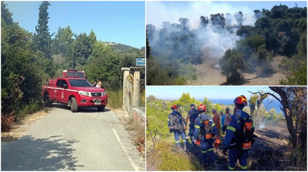 ΕΥΒΟΙΑ: Φωτιά στον Μισόκαμπο Κύμης σε δασική έκταση και ελαιώνες