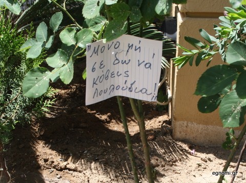 Ποιος κόβει ρε τα λουλούδια;